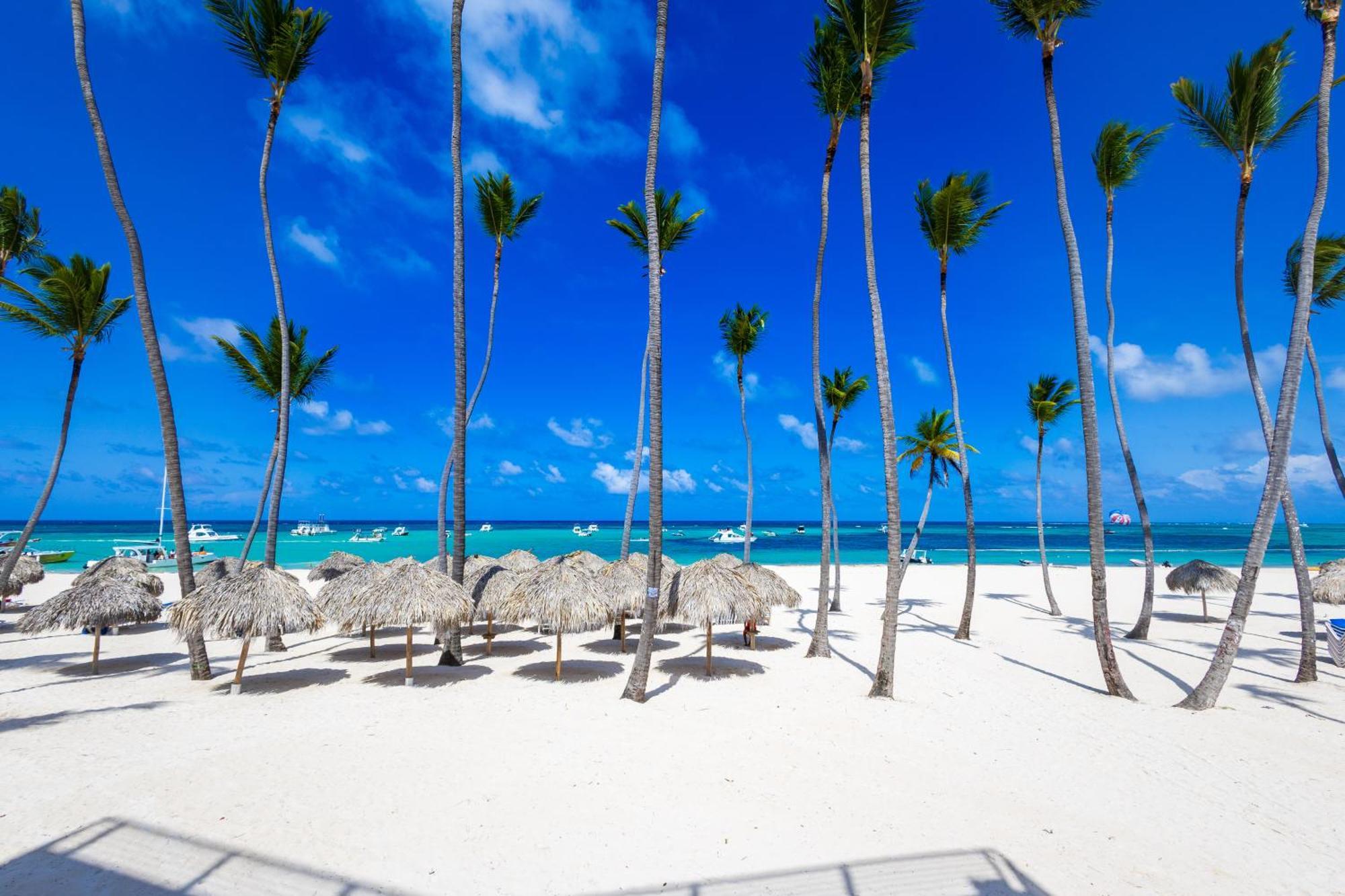 Prime Ocean View Punta Cana Apartments - 3-Bedroom Getaway With Private Terrace On Bavaro Beach Екстериор снимка
